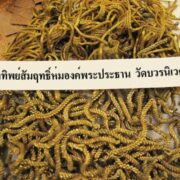 Gold Chanuan - Chain Embellishments from the Buddha at Wat Bovornives